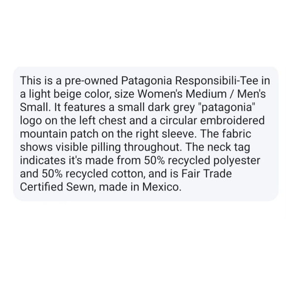 Patagonia Beige Fitz Roy Icon Responsibili Te-Shirt Sz. S MEN'S Unisex - Picture 7 of 7